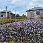 Casa de Férias Hooiberghut Op Boerderij Leidschendam