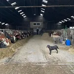 Hooiberghut Op Boerderij Casa de Férias *