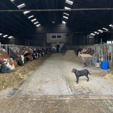 Hooiberghut Op Boerderij Dom wakacyjny *