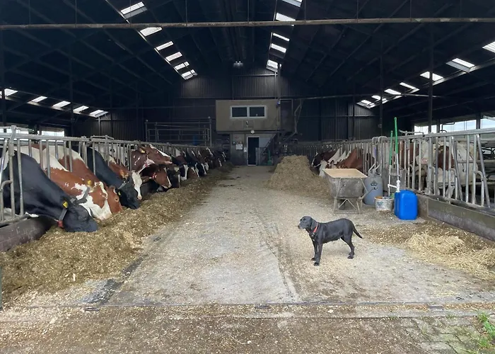 Hooiberghut Op Boerderij Holiday home *