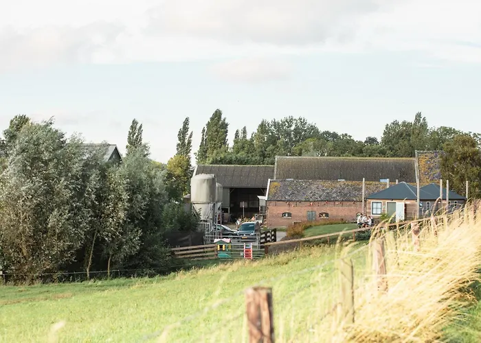 Hooiberghut Op Boerderij *